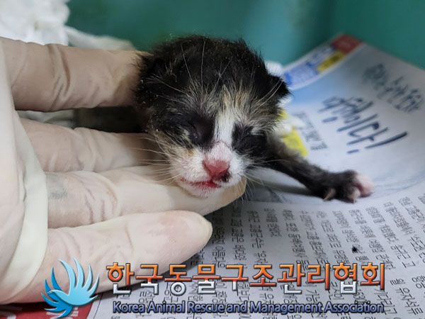 한국동물구조관리협회_411304202300635